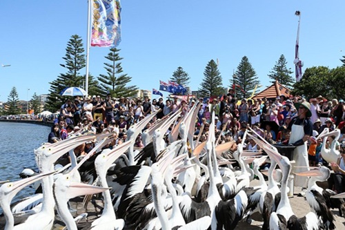 Bateau Bay Accommodation