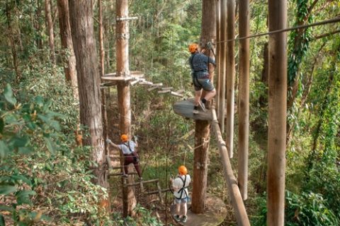 Holiday Park Near Sydney